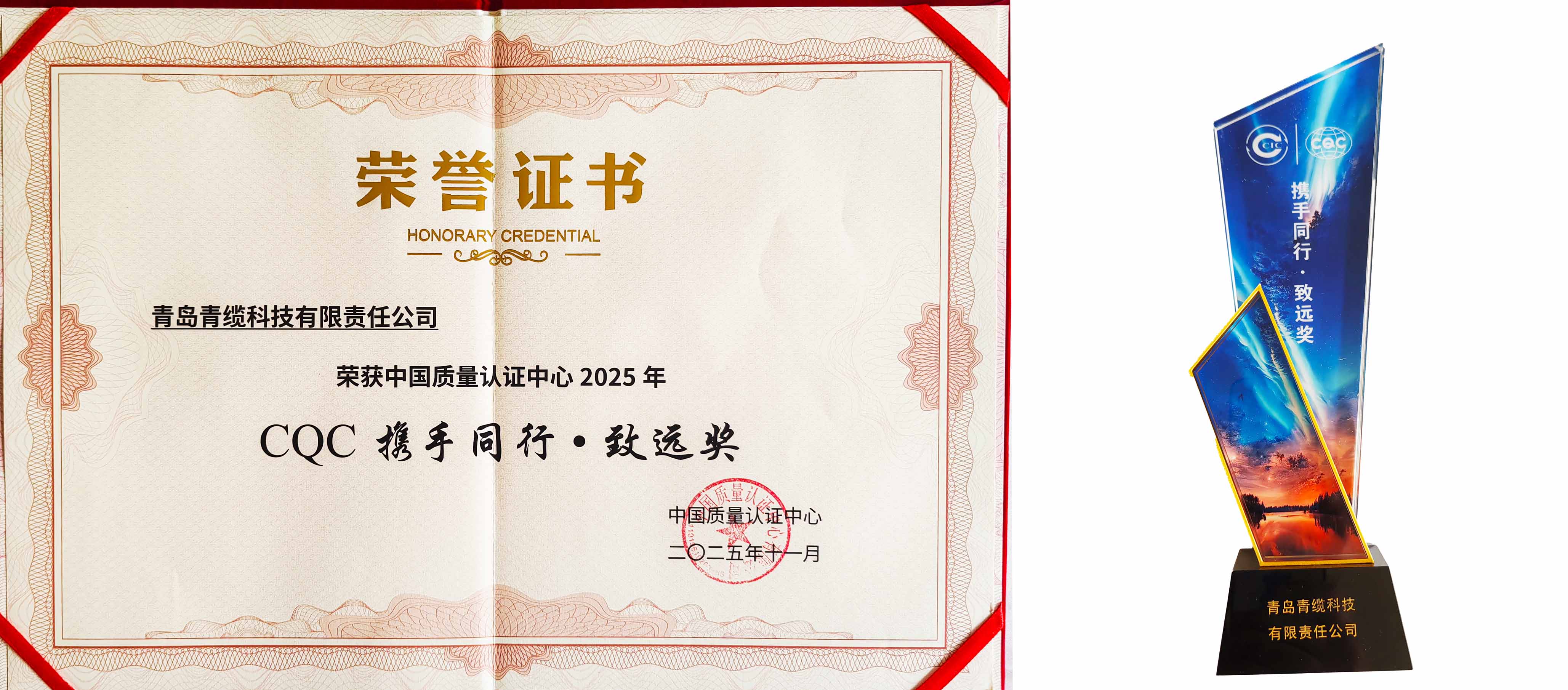 聚焦前沿，共话品质 | 青缆荣获cqc携手同行·致远奖(图3)